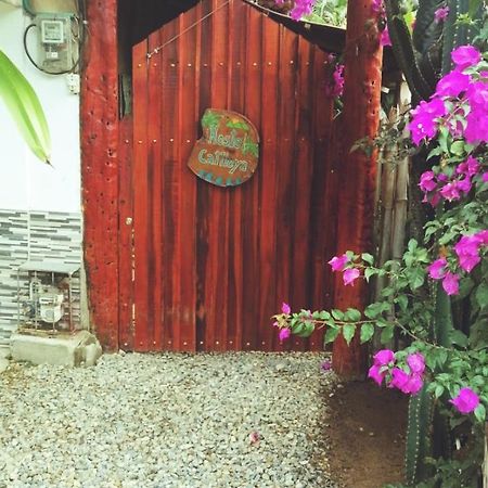 Hostel Cattleya Palomino Exterior photo