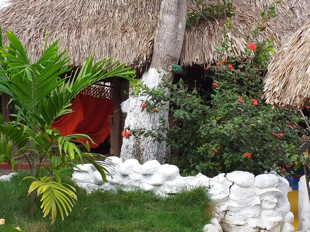 Hostel Cattleya Palomino Exterior photo