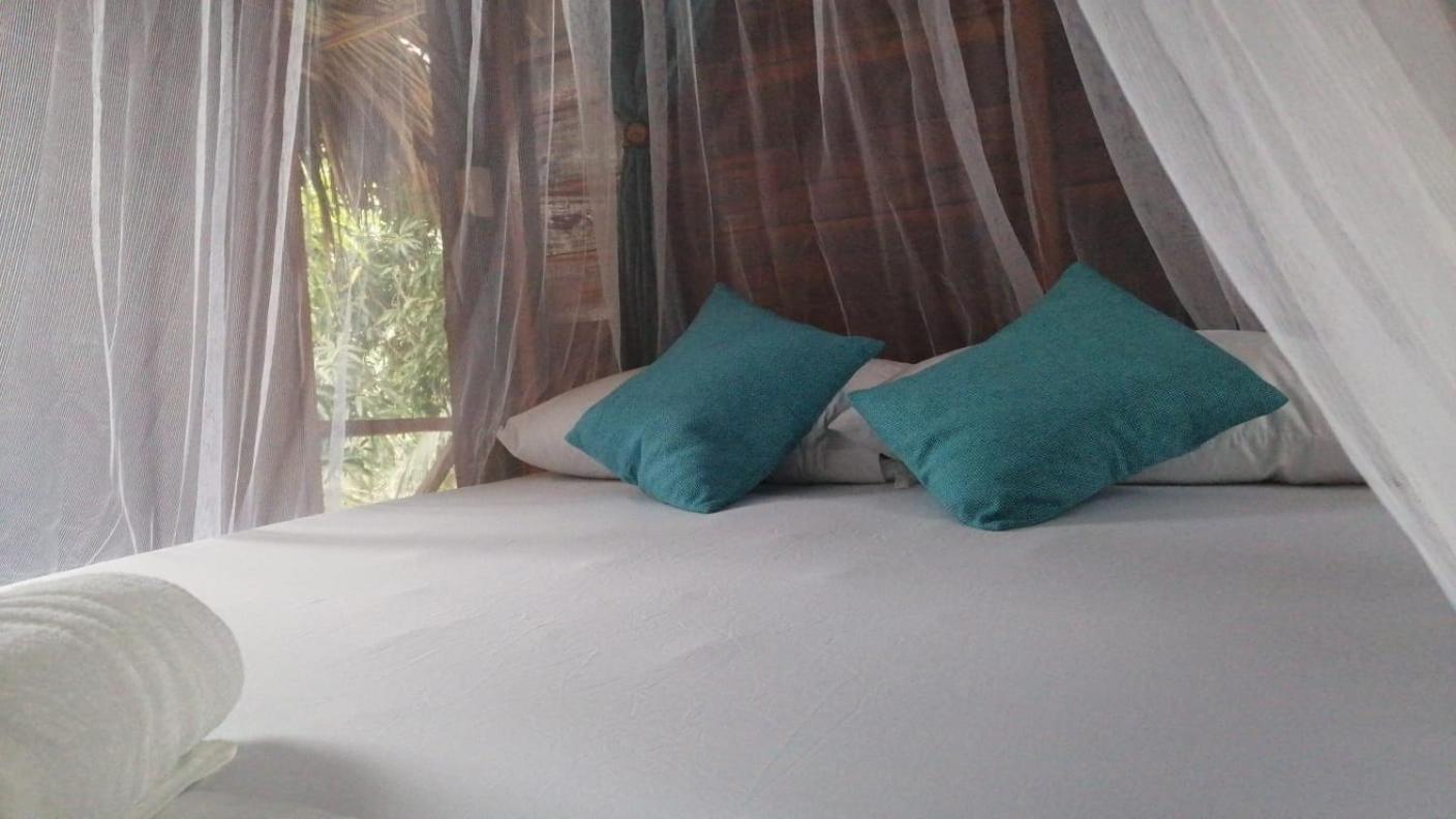 Hostel Cattleya Palomino Exterior photo