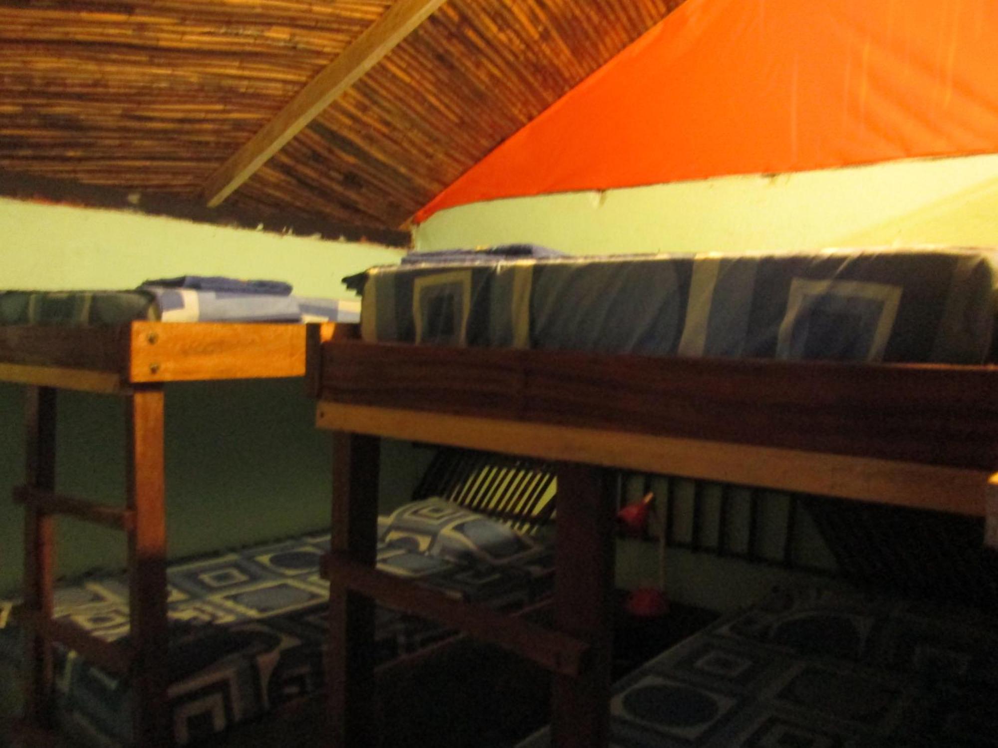 Hostel Cattleya Palomino Exterior photo